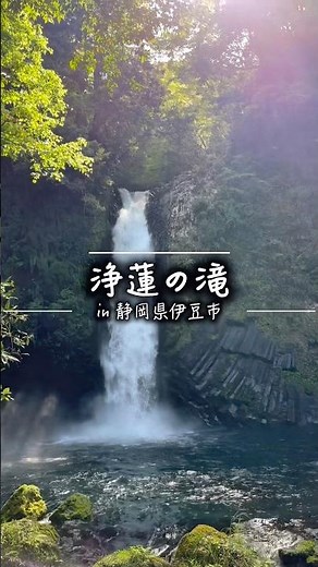浄蓮の滝(中伊豆)