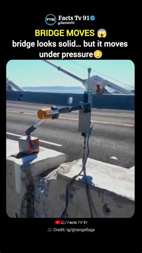 This Device Shows How Bridges Actually Flex 😳