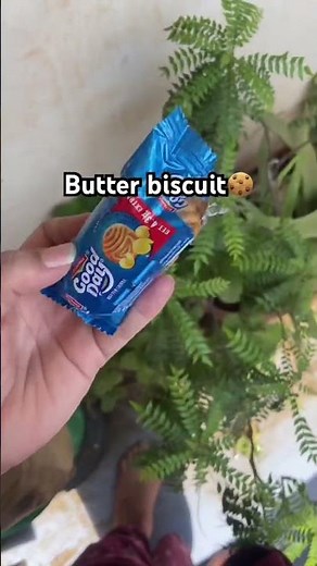 “Good Day biscuit review 🍪 #goodday #britannia #biscuits #butterbiscuit #snackreview