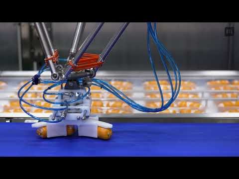 MULTIVAC Group Automated Packaging Line Solution for Curved Sausages