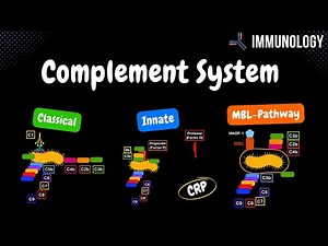 Complement System Pathways (Classical, Alternative, MBL) + QUIZ | Immunology