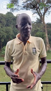 Ngamba Island Chimpanzee Sanctuary joins the rest of the world in celebrating our closest relatives—the chimpanzees—who share approximately 98.7% of our DNA. Since 1998, the sanctuary has provided a safe haven for orphaned chimpanzees while also supporting the conservation of those still living in the wild.Happy World Chimpanzee Day to you all! | Ngamba Island Chimpanzee Sanctuary