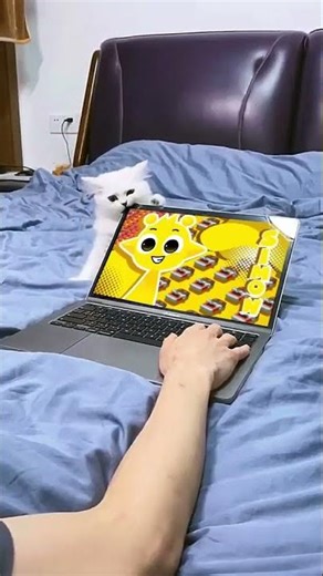 Cat Bites Laptop Screen While Watching Sprunki Intro | Incredibox Sprunki (fan edit)