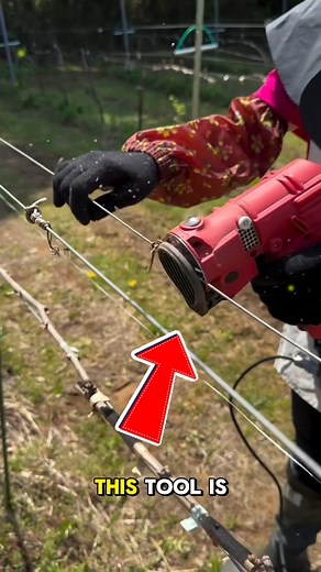 Smart Tool Boosts Vineyard Growth This innovative tool helps vineyards get ready for the next season by efficiently removing old vines, ensuring better crop health and higher productivity. 🌱🍇 Credits: @ sakura_vineyard_ / IG @ tirana_wine / IG #SmartFarming #AgricultureTech #VineyardTools #technology #tech | Vee media