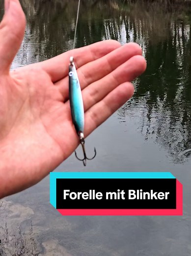 Forellen Angeln mit Blinkern: Tipps und Tricks