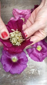 1.1M views · 5K reactions |  | Ayten Yıldız | Facebook