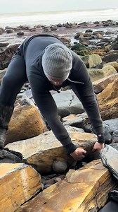 We opened this block of Jurassic shale while hunting for fossils on the beach! 🐬 Our aim was to reveal a fossil and save it from the elements 🌧️ Take a look and see what fossils we actually ended up finding! 🌅 We revealed a beautiful Jurassic Age Ammonite fossil from millions of years ago! 🏝 | Fossils Explorer