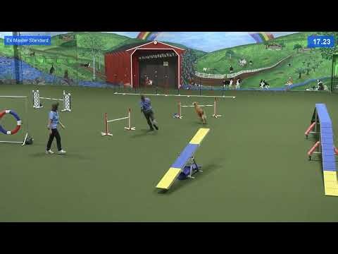 Yashica Ex Master Standard 07 12 2025