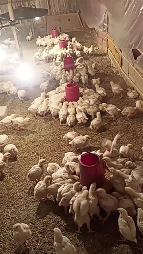 Address: Street, Apt, City, Country/Region, Province, Postal code #lifeisbutadream #dreamd