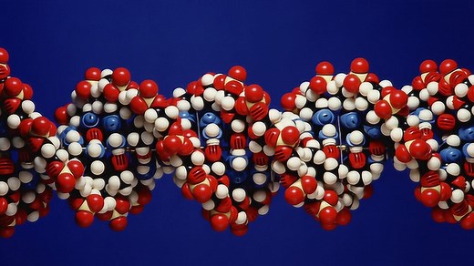 世界上首例基因治疗：在人体内改变DNA,完美解决疾病！