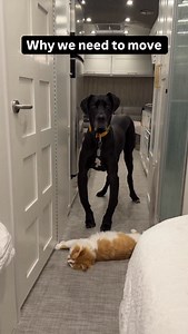 Hopefully this explains why we have to move out of the RV. While Randy does have a queen bed, he also occasionally gets cat fenced. | Ashley Gutermuth