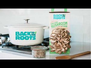 Mushroom Grow Kit by Back to the Roots | DIY Mushroom Kit | How to grow mushrooms | Gardening Gift