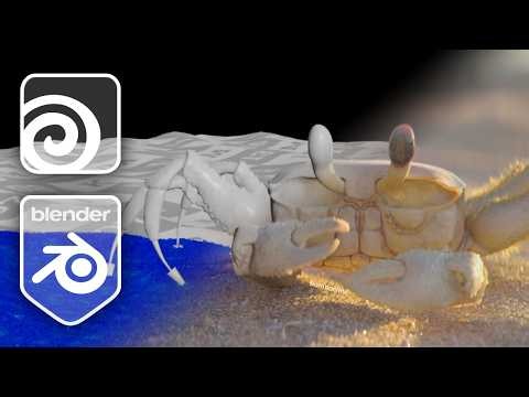 Crab | Houdini Grains simulation & Blender