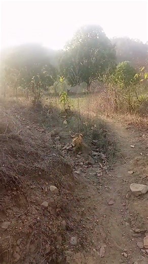mile Aabe teha gori sarai ke chahiha #song #love