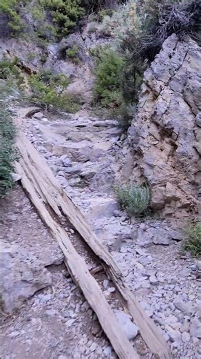 Robber's Roost POV Immersive Hike | Mount Charleston, NV