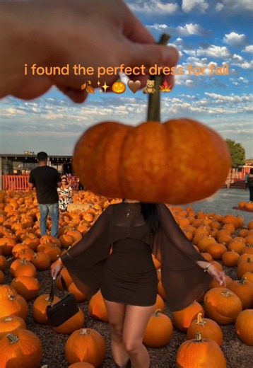 Perfect Fall Dress Outfit Ideas — Dress Inspo for Autumn