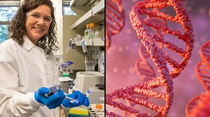 Massive Breakthrough As International Squad Of Scientists Finally Finish Decoding The Entire Human Genome