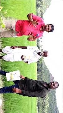 #agriculture #agriculturetechnology #farming #vari #paddy #paddycultivationtelugu #teluguagritech