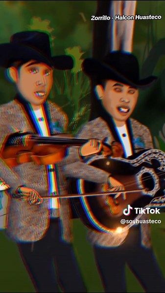 El zorrillo de Halcón huasteco #CachitosDeHuapango #soyhuasteco🎻 | huapango