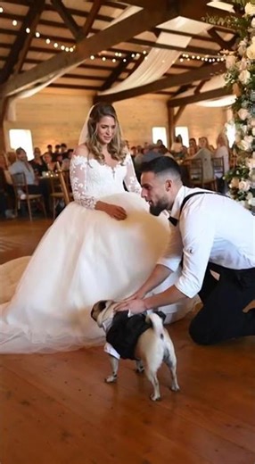 👰🏻‍♀️ Surprise guest at the wedding! 😆🐶 #wedding #brideandgroom #funny #weddingcouple
