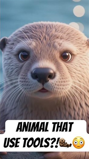 Smart Animals Exist—Watch This Otter Use Tools! 🦦