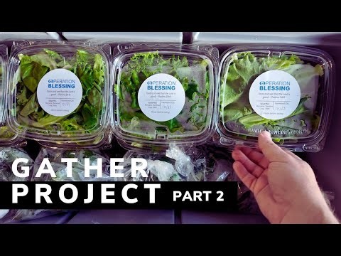 Revolutionary Hydroponic Towers Feed Hungry Communities SAME DAY 🌱