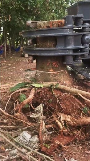 Cutting machine working mechanism #shorts