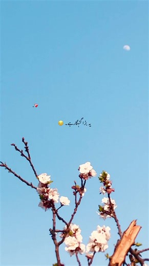 ماتھوں پر سجدوں کے نشان لگا لینے سے اللہ نہیں بخشتا ۔💯❤️‍🩹🙌🏻 @معین 🪐 #foryou #foryoupage #poetry #poetrystatus #unfreezemyaccount