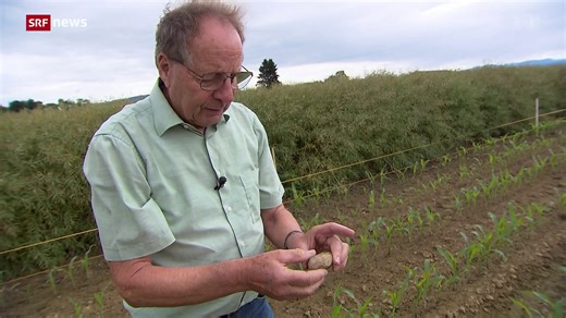Hobby-Archäologe Werner Brogli im Portrait