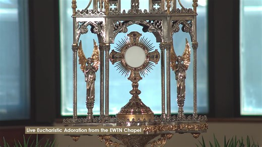 Jesus is waiting for you! Spend a few minutes adoring Our Lord Jesus Christ, who truly is present in the Most Holy Eucharist. Include your intentions, and remember that the EWTN Family is always praying with you and for you! Learn about the Eucharist and get a free eBook: https://bit.ly/EWTN_Eucharist This stream will run Monday-Friday from 9 a.m. - 5 p.m. ET (approx.) You also can adore Jesus here: https://ewtn.com/catholicism/adoration God bless you, family! #eucharisticadorationlive #eucharis