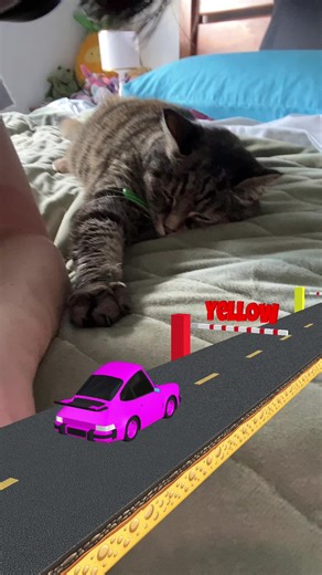 i’m meant to be cleaning my room #cat