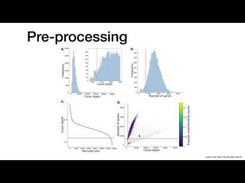 2nd scanpy session - Quality control and filtering