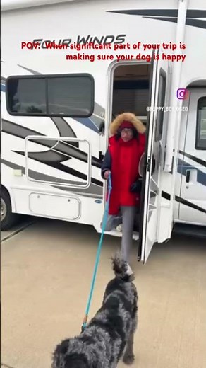 When significant portion of your trip is to make sure your dog is happy! #dogadventures #dog #oreo