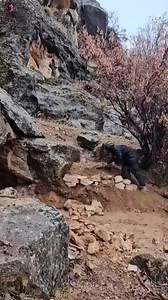 1 Day turn a cave to a survival and stay alive .#diy #bushcraft #shelter | Mountain Cabins