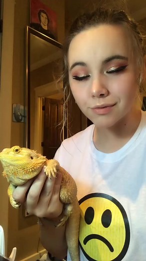 Welcome to Wells Fargo #margothebeardie #beardeddragon #reptile | margo