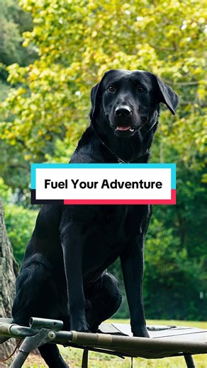 Fuel your adventures with #VICTOR #fyp #HuntingSeason #DuckDogs #DogFood
