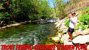 With miles of roadside access, Raven Fork is one of the most popular trout streams to fish in Cherokee. In this episode of Pautzke Outdoors we head back to Western North Carolina to show you how to catch rainbow trout here now. | Pautzke Bait Company