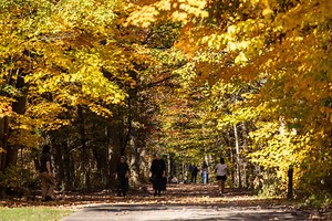 She accused him of rape, then plotted revenge: The case of a porn actress accused of killing a man in Cleveland