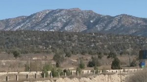 Pakistan’s Juniper trees face depletion