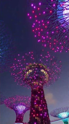 Singapore Night View