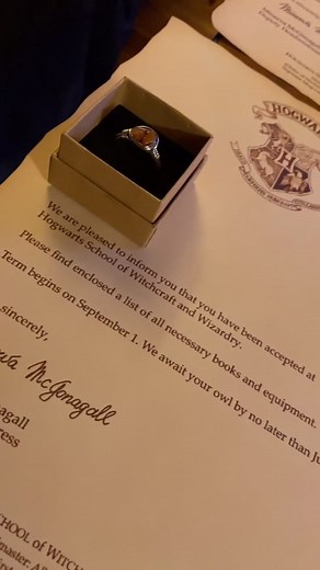 Weasley'sWizardStudio on TikTok