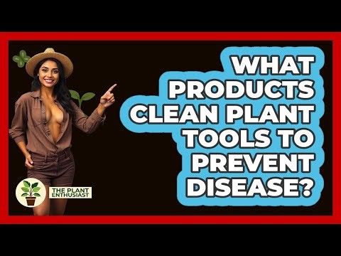 What Products Clean Plant Tools To Prevent Disease?