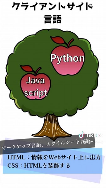 #情報1 #情報 #itパスポート #基本情報 #it #情報i #プログラミング言語 #プログラミング #受験 #共通テスト #高校生