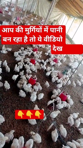 ascites ka treatment। ascites ka ilaj kya hai। ascites treatment hindiascites ka ilaj