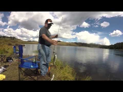 Colorado Trout Fishing