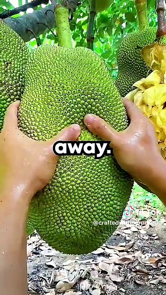 How One Song Ended a Relationship