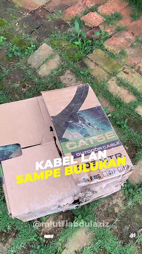 Panduan Instalasi Kabel LAN Lengkap