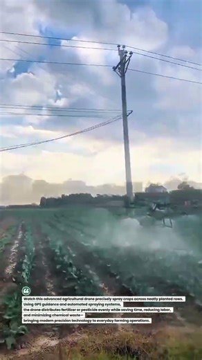 Autonomous Crop Spraying Drone in Action 🚁🌱 Precision Farming #AgTech #FarmingDrone #SmartFarming
