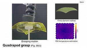 A paper in Nature Communications presents a flexible robotic sheet that can grasp objects and move across surfaces. This advancement could improve autonomous systems in fields such as exploration, haptic displays, and smart healthcare. Link to the article in the comments. | Nature Portfolio