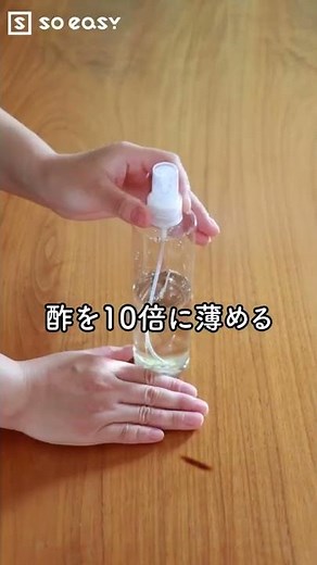 【掃除】お手入れしないとヤバい！？畳のカビ防止方法#Shorts